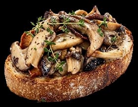 Wild Mushroom Fricassee