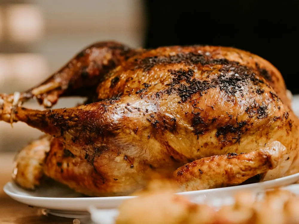 Turkey Roast